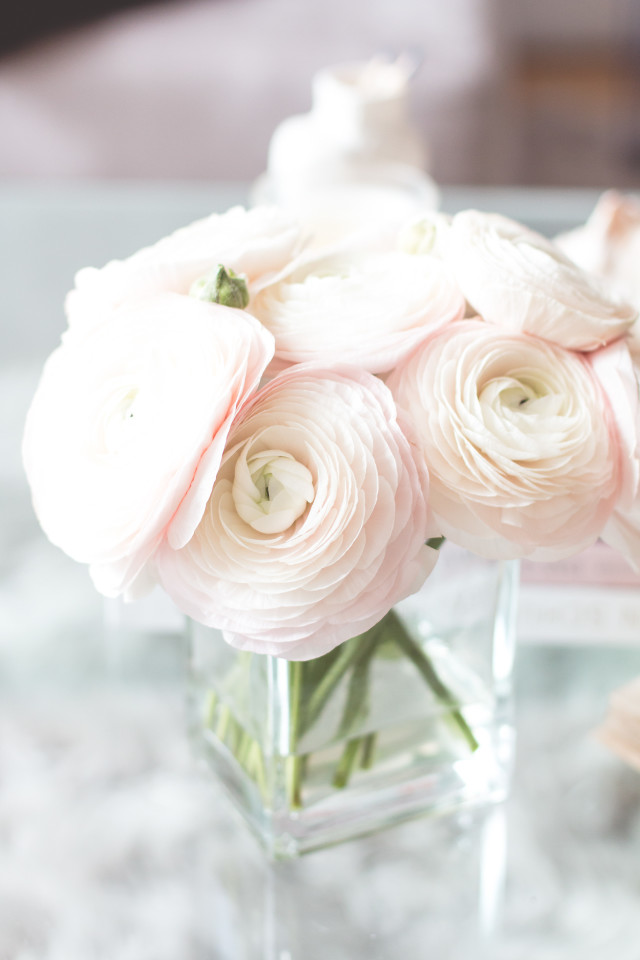 5 tips to keep your fresh flowers longer | Bikinis & Passports