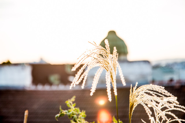 OUTDOOR LIVING: final touches for our deck with WestwingNow | Bikinis & Passports