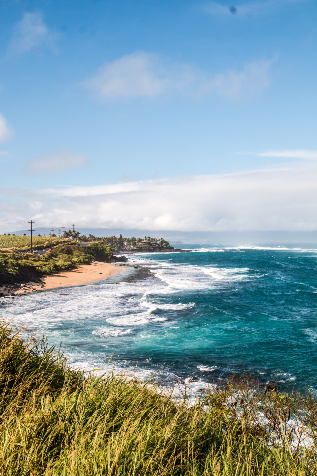 TRAVEL: road to hana | Bikinis & Passports