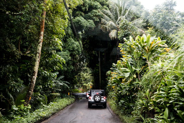 TRAVEL: road to hana | Bikinis & Passports