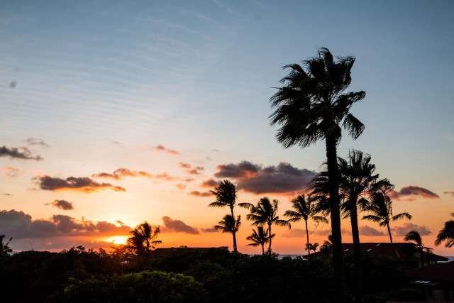 TRAVEL: things to do in Maui | Bikinis & Passports