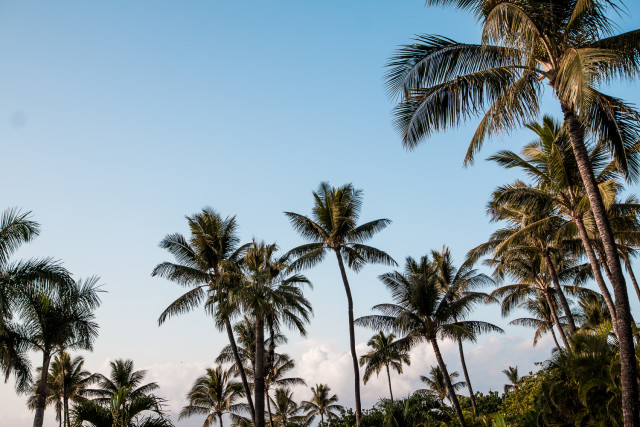 Hotel Review: Four Seasons Resort at Wailea Maui | Bikinis & PassportsHotel Review: Four Seasons Resort at Wailea Maui | Bikinis & Passports