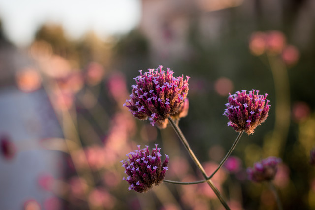 Hotel Review Park Hyatt Mallorca - Cap Vermell | Bikinis & Passports