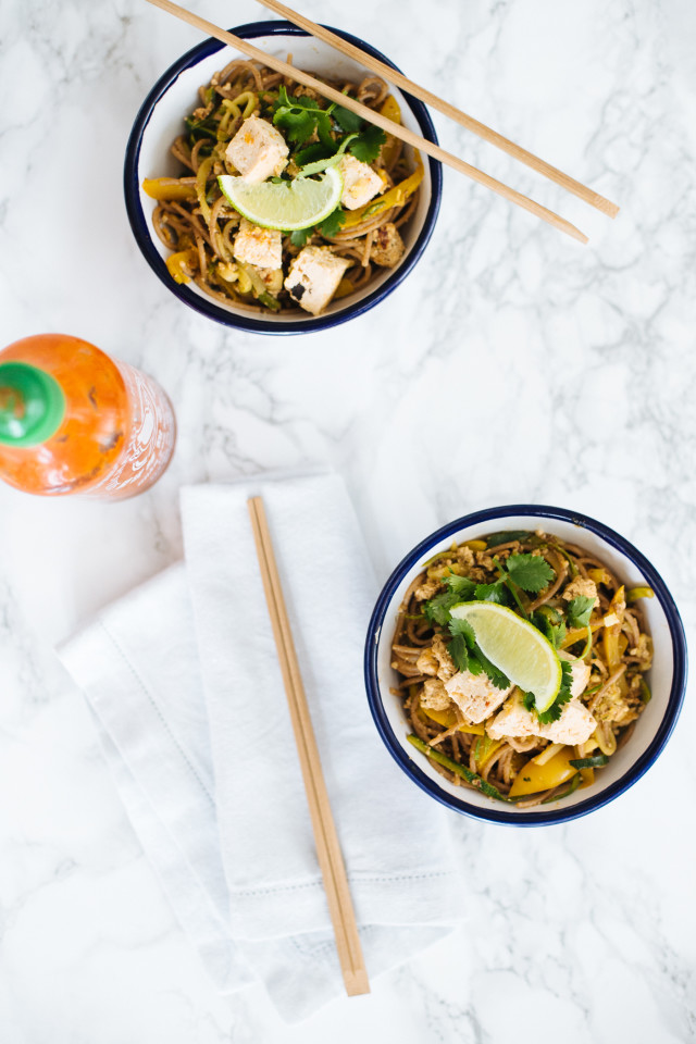 Asian Noodles with Tofu Recipe | Bikinis & Passports
