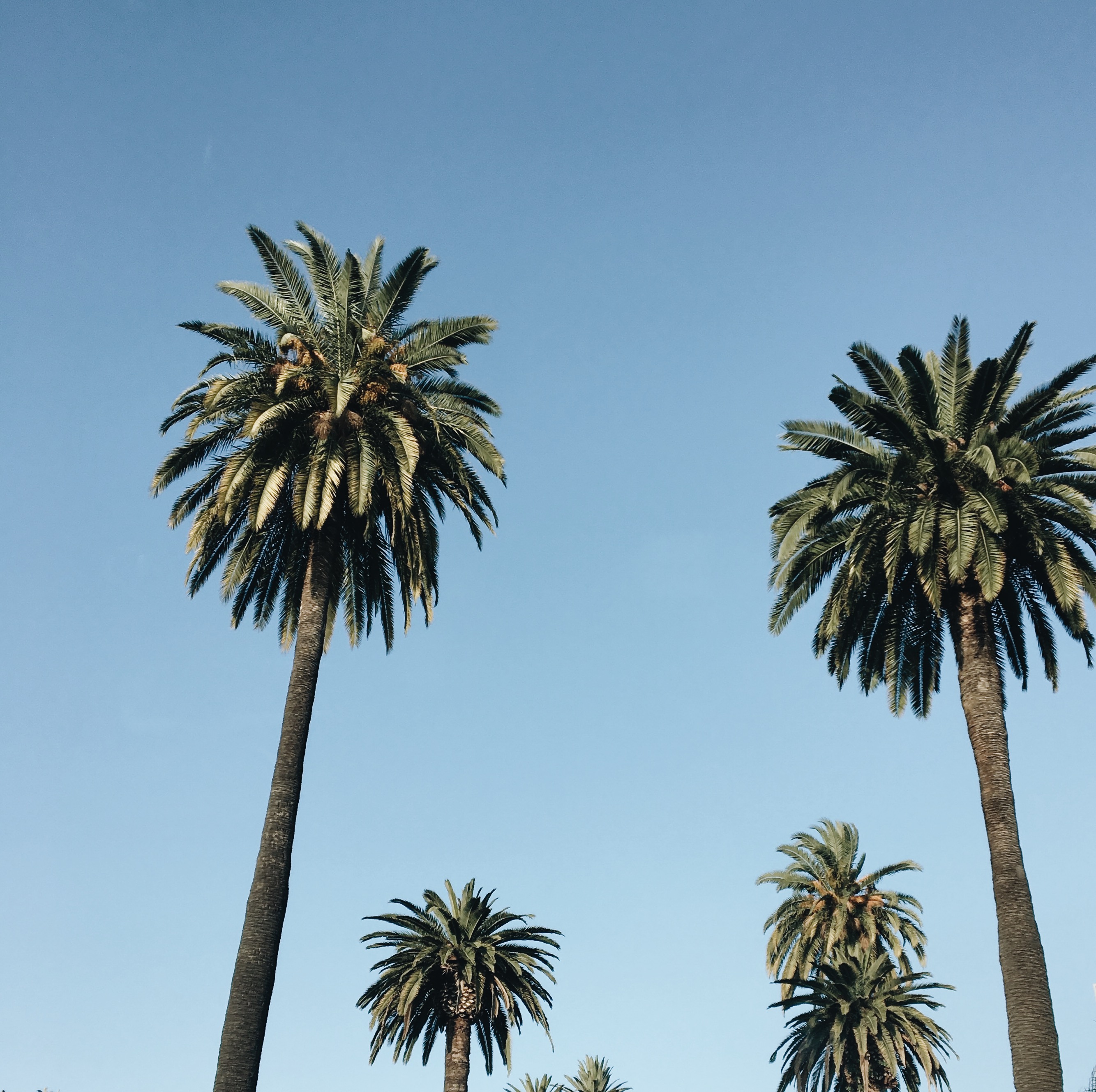 Downtown Los Angeles | Bikinis & Passports