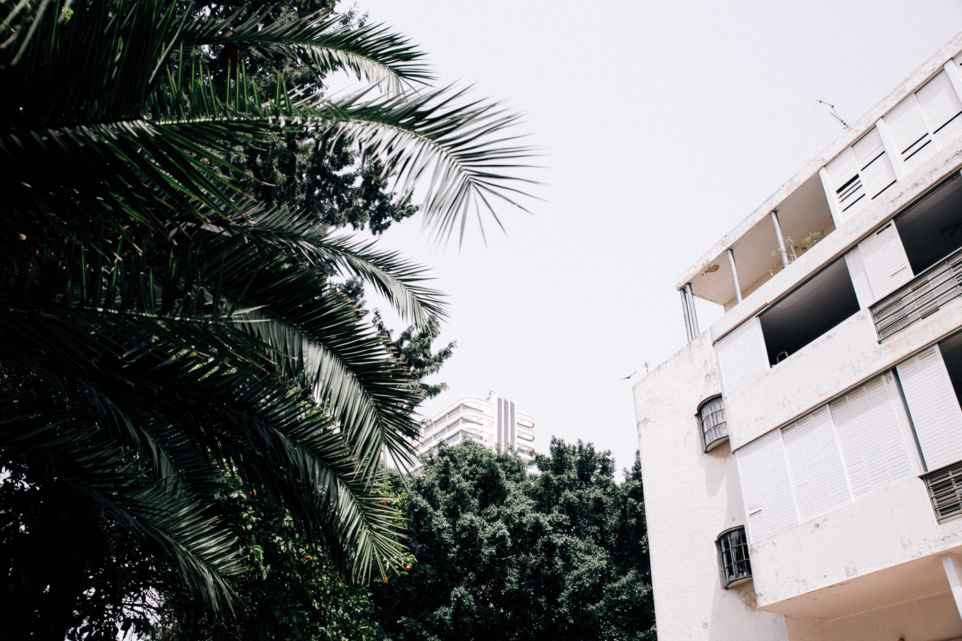 Tel Aviv Bauhaus open museum, Bauhaus walking tour - Bikinis & Passports