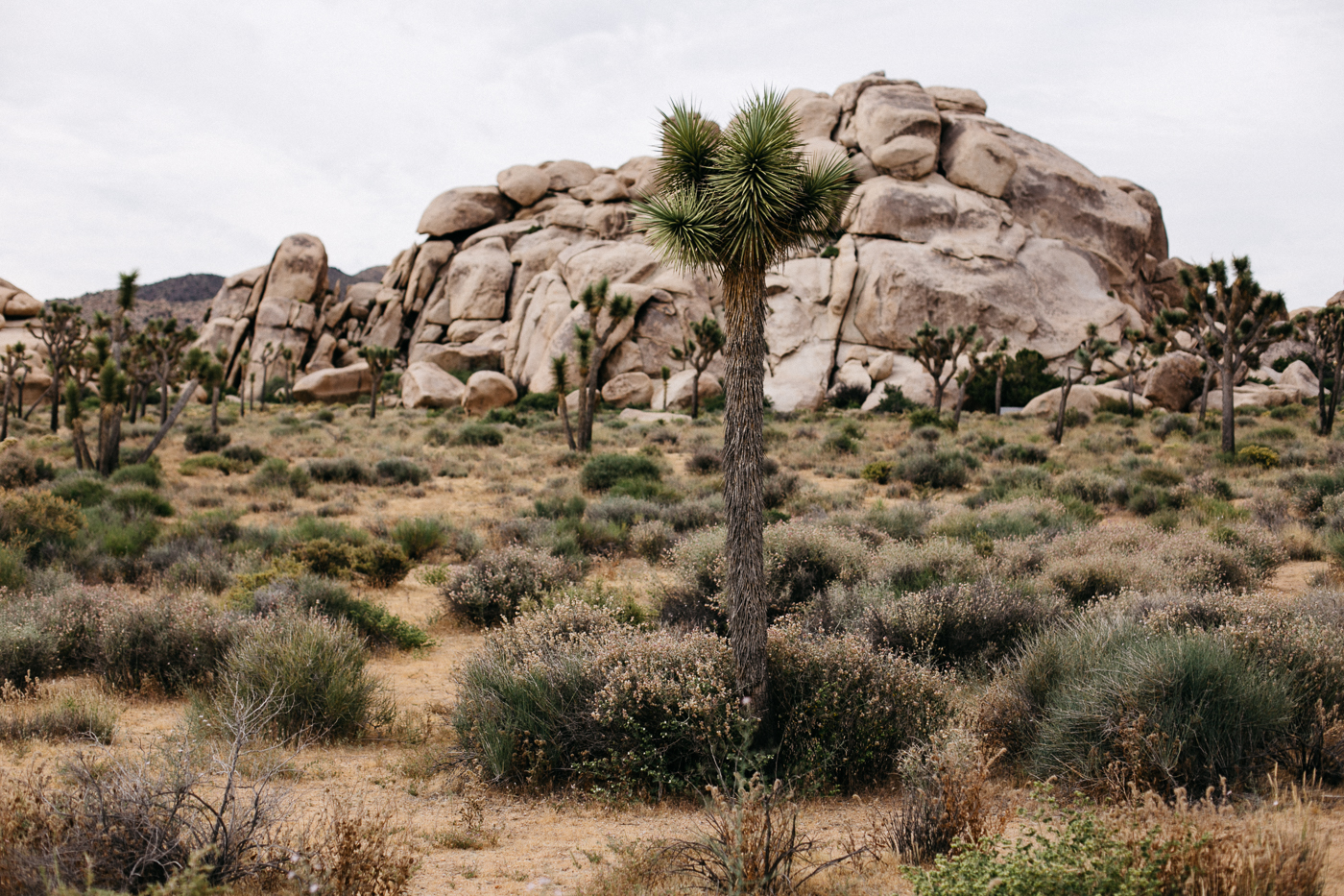 Joshua Tree National Park Outfit | Bikinis & Passports