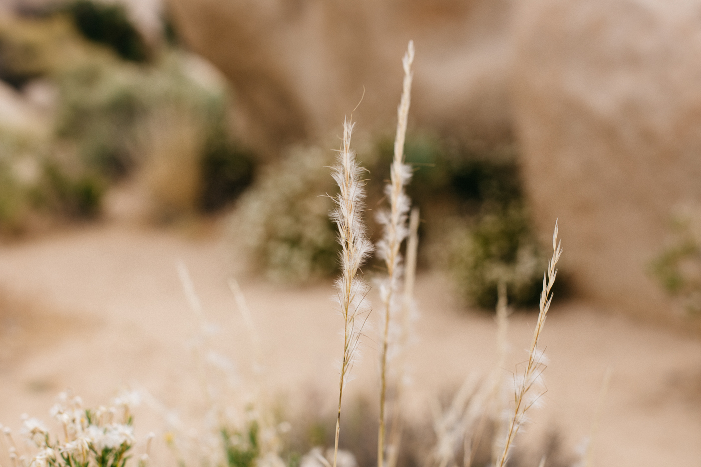 Joshua Tree National Park Outfit | Bikinis & Passports