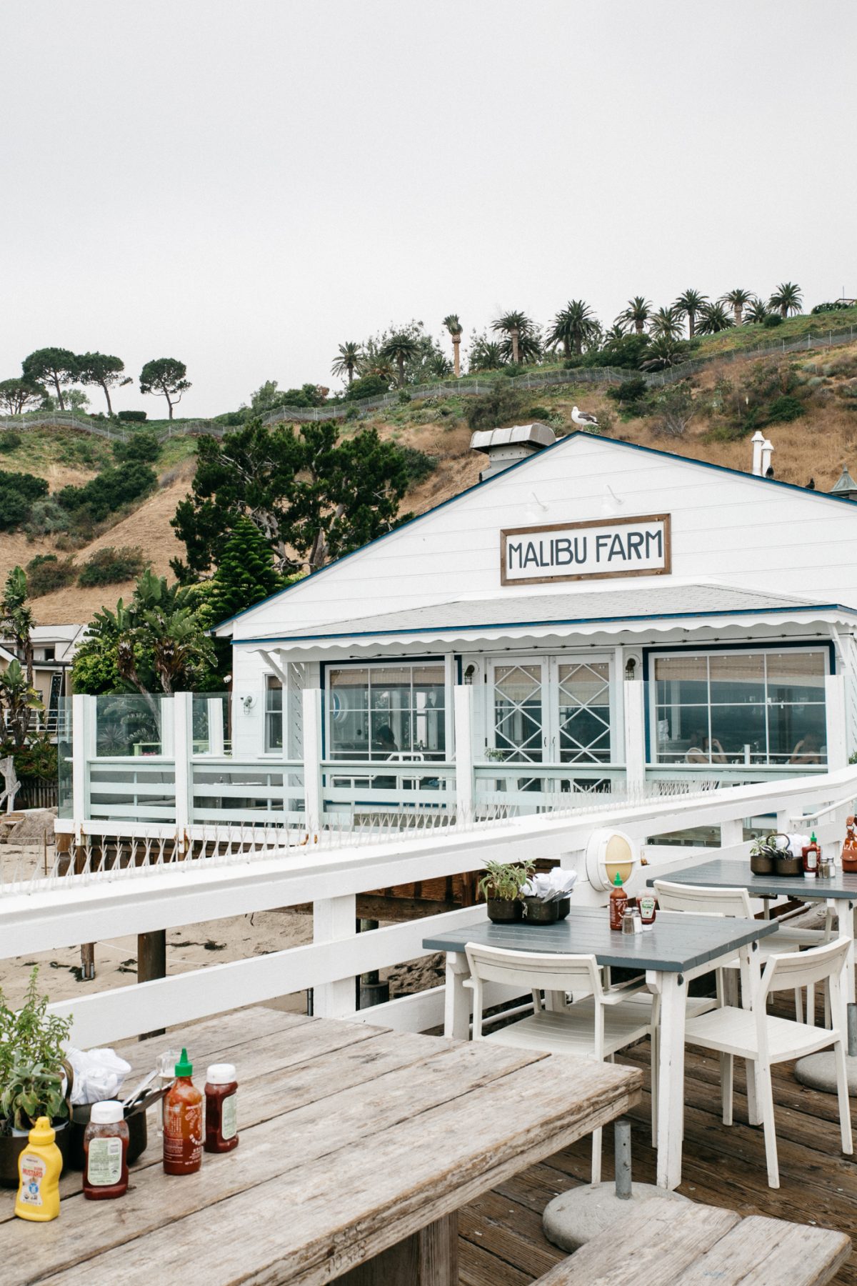 Malibu Farm, Breakfast at the Malibu Pier | Bikinis & Passports